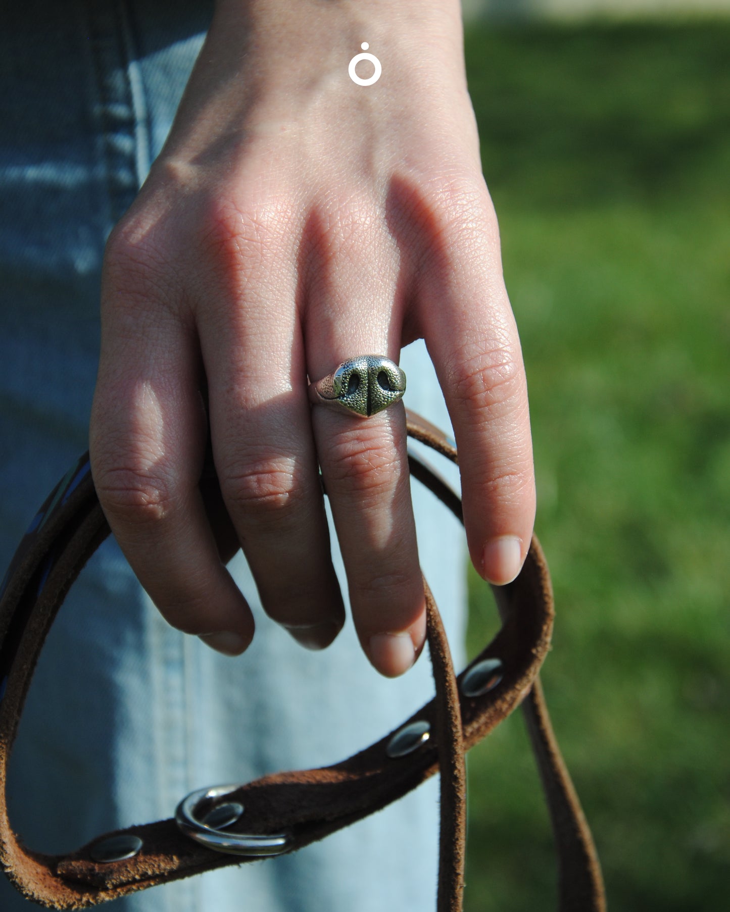 Anello Naso Cane