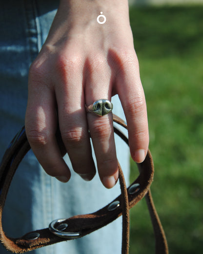 Anello Naso Cane