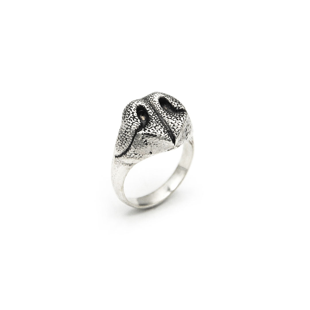 Anello Naso Cane