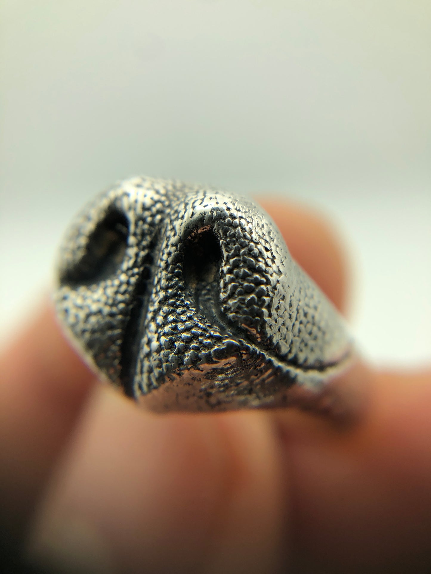 Anello Naso Cane